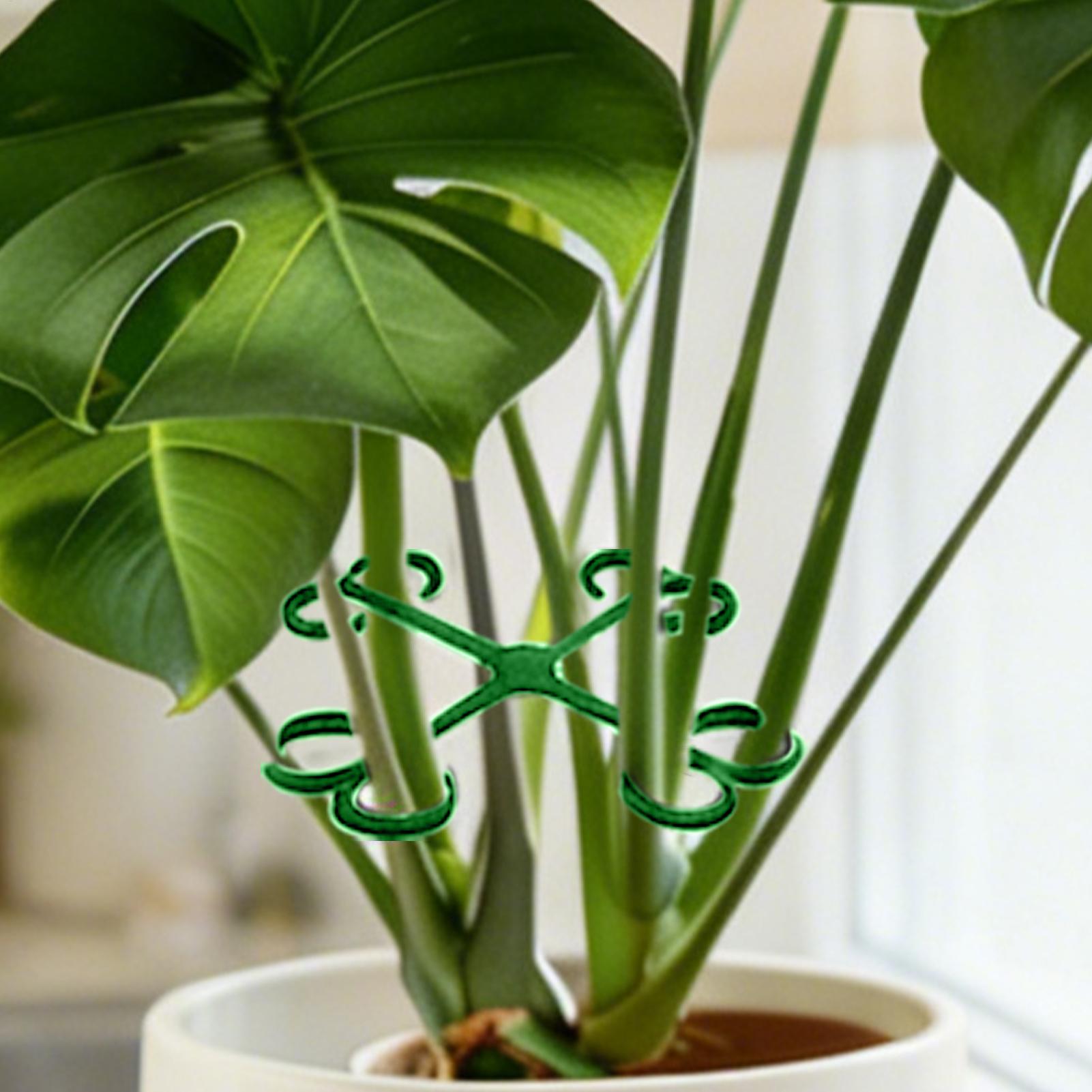Vine Climbing Plastic - 4Pcs Plant Stem Support Clips Vine