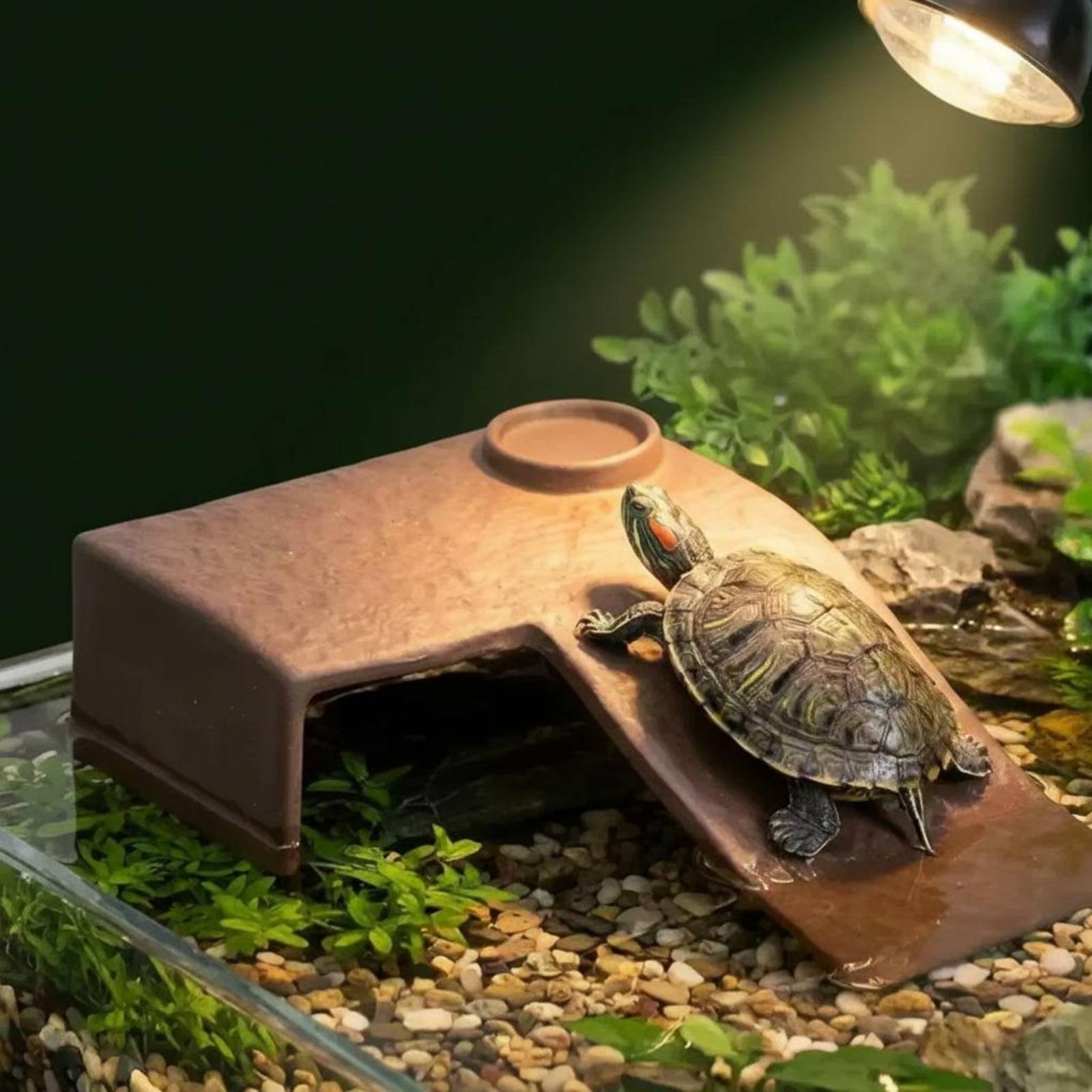 2 Pieces Turtle Basking Dock E - огляд і ціна Hide Cave Ceramic