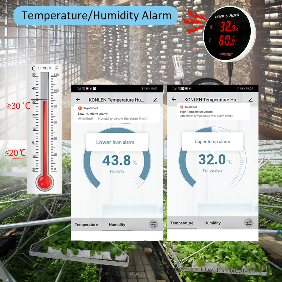 Tuya WIFI Temperature Humidity - огляд і ціна Digital Hygrometer Probe