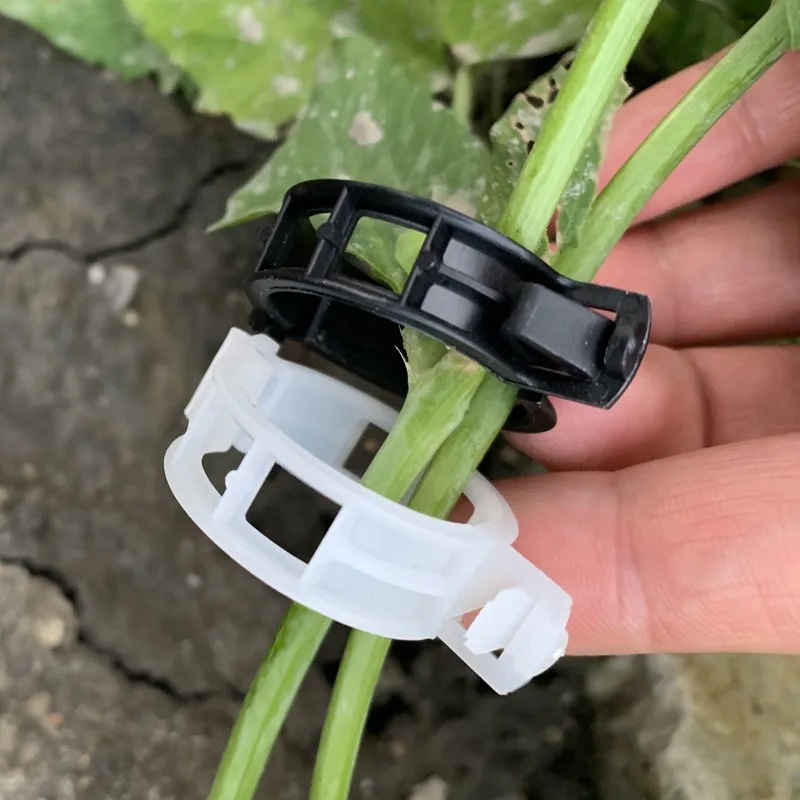 Reusable Plastic Plant Support - огляд і ціна Vine Climbing Plastic