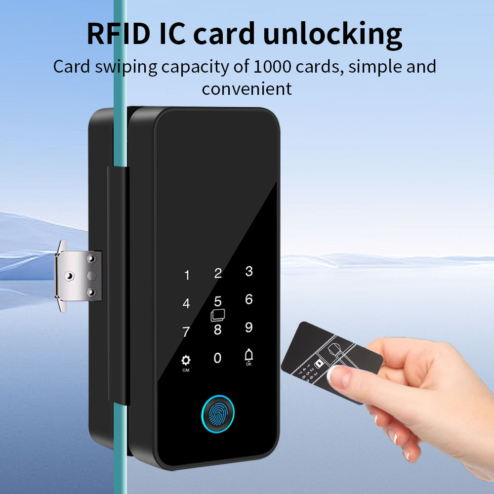B16 Tuya APP Bluetooth Glass D - огляд і ціна Glass Door Hinge