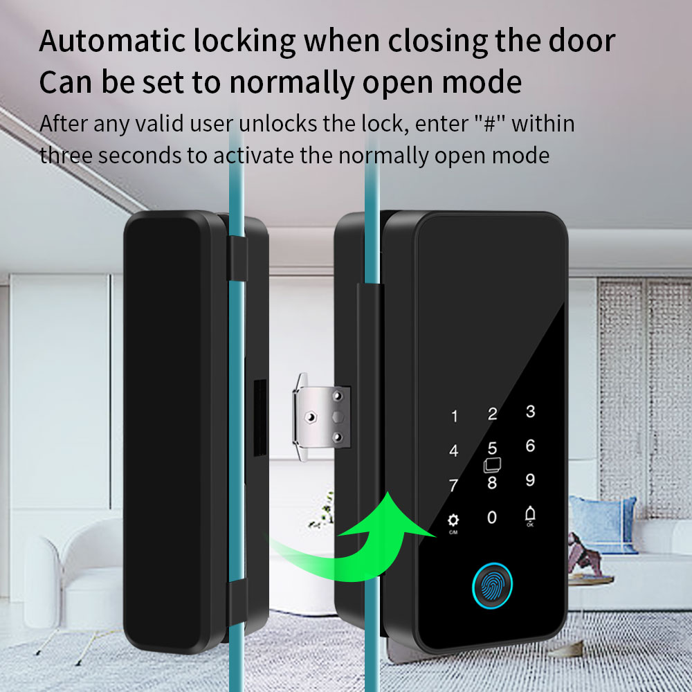 B16 Tuya APP Bluetooth Glass D - огляд і ціна Glass Door Hinge