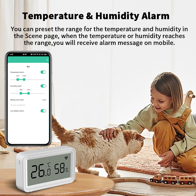 Tuya Zigbee WiFi Thermometer H - огляд і ціна Digital Hygrometer Probe