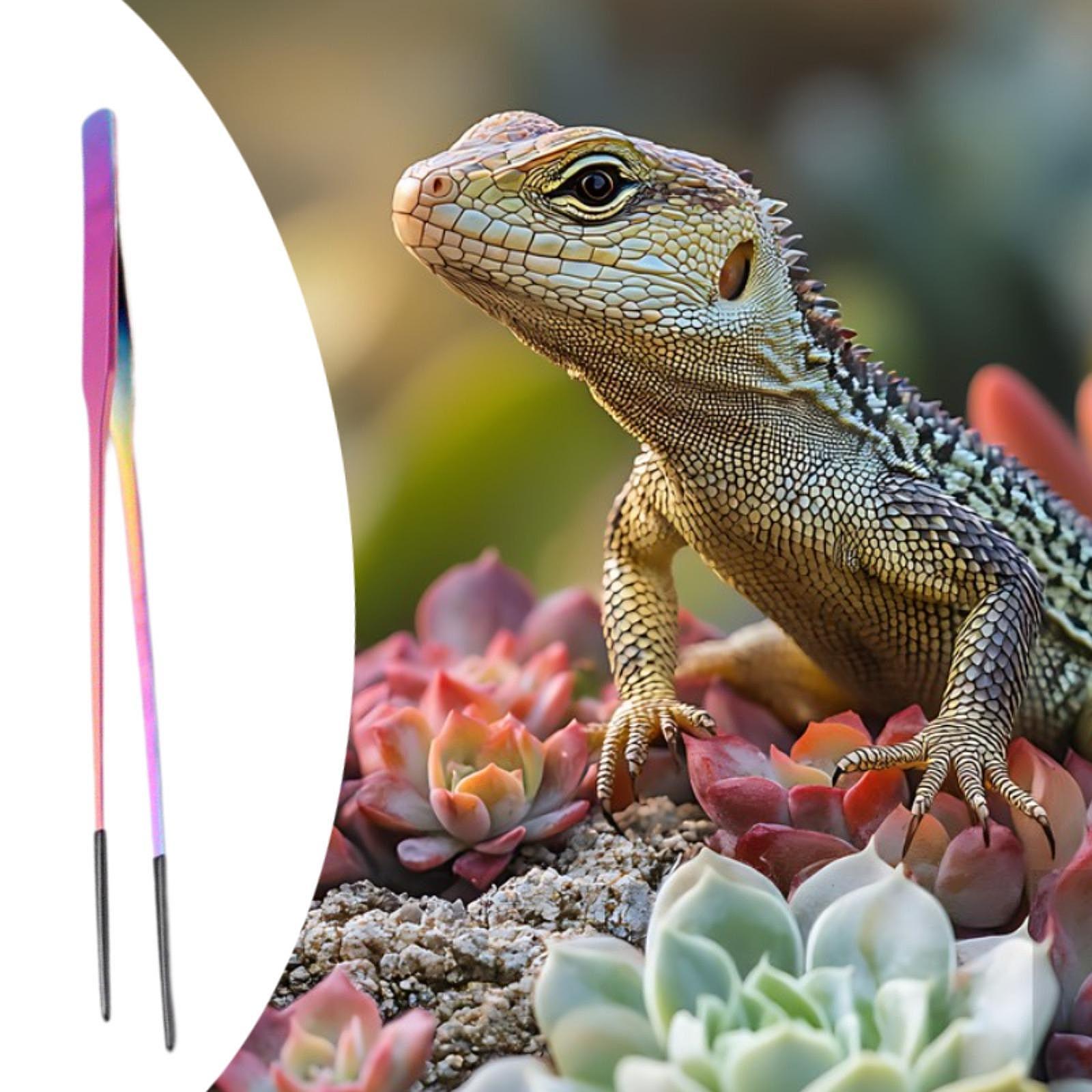 Terrarium Reptile Feeder Tongs - огляд і ціна Feeding Tong Stainless