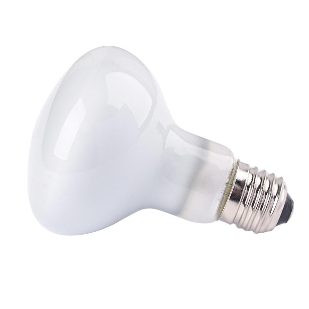 Lizard Temperature Controller  - огляд і ціна Basking Bulb Halogen