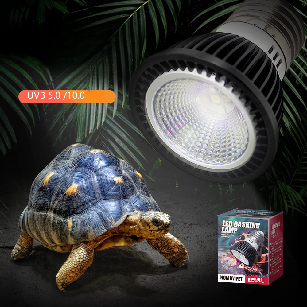 Reptile 110/220V UVB+UVA Light - огляд і ціна Calcium Powder Reptile
