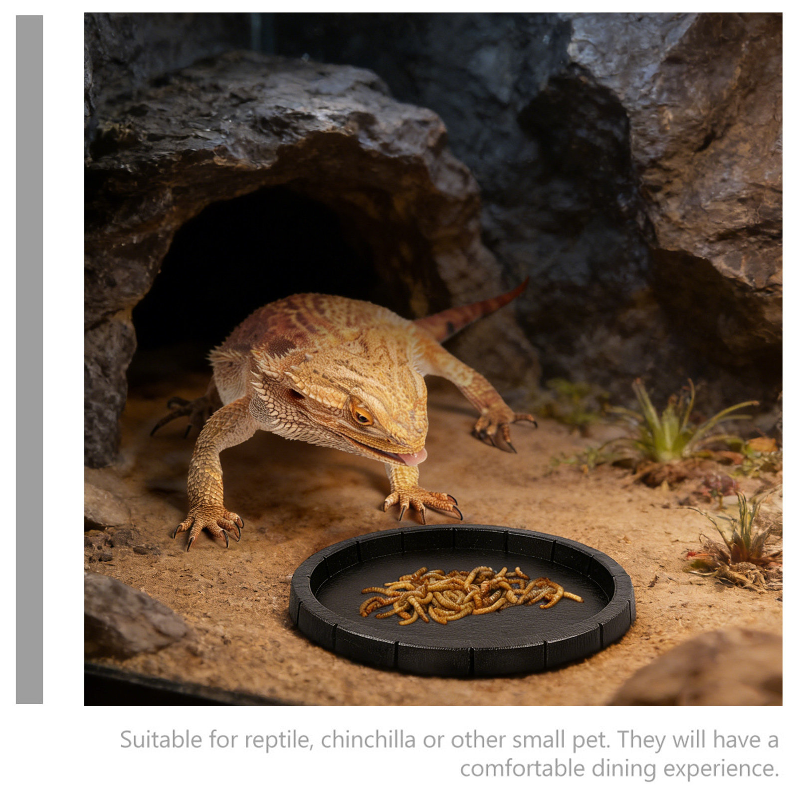 Reptile Feeding Dish Smooth Su - огляд і ціна Water Dish Reptile