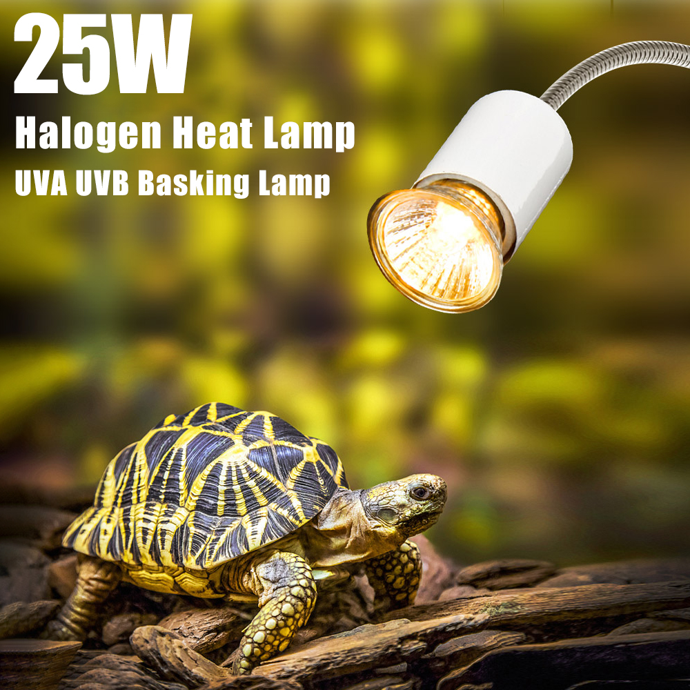 25W Halogen Heat Lamp UVA UVB  - огляд і ціна Basking Bulb Halogen
