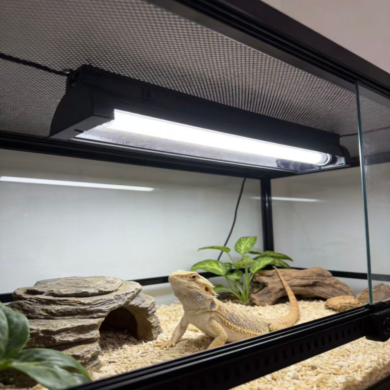 T5 UVB Reptile Light Fixture K - огляд і ціна Calcium Powder Reptile