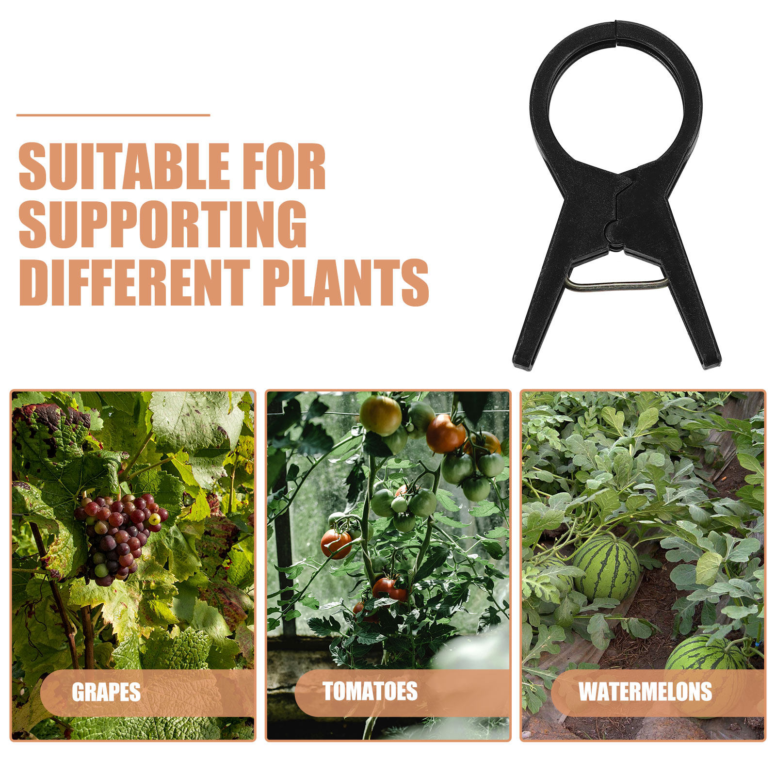 100Pcs Plastic Plant Support C - огляд і ціна Vine Climbing Plastic