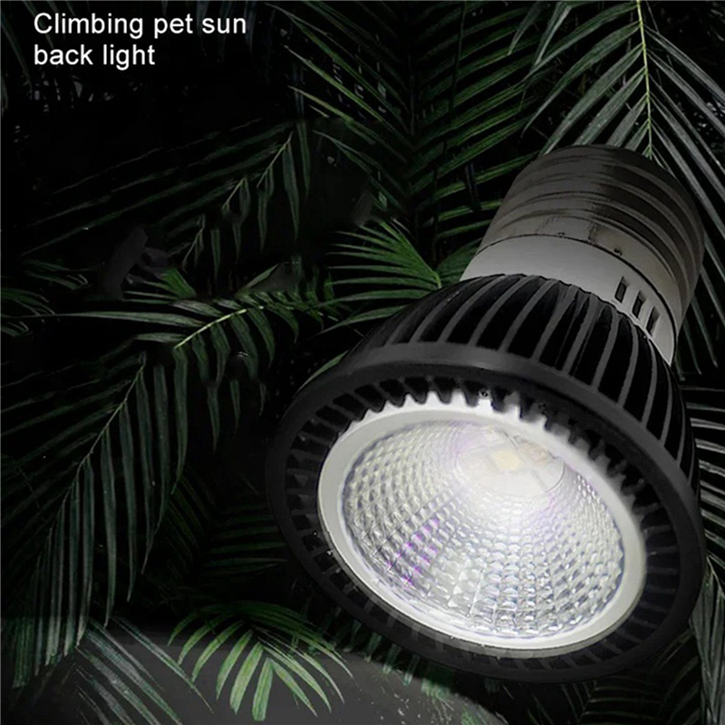 A03F-5X 110V Reptile UVB Light - огляд і ціна Calcium Powder Reptile