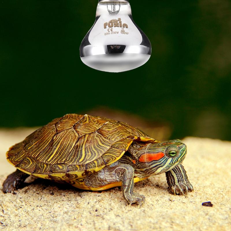 Pet Heating Lamp E27 Day Night - огляд і ціна Ceramic Heat Emitter