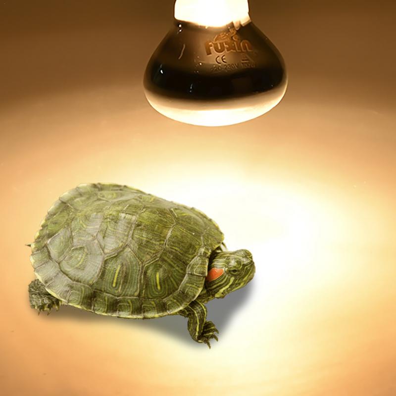 Pet Heating Lamp E27 Day Night - огляд і ціна Ceramic Heat Emitter