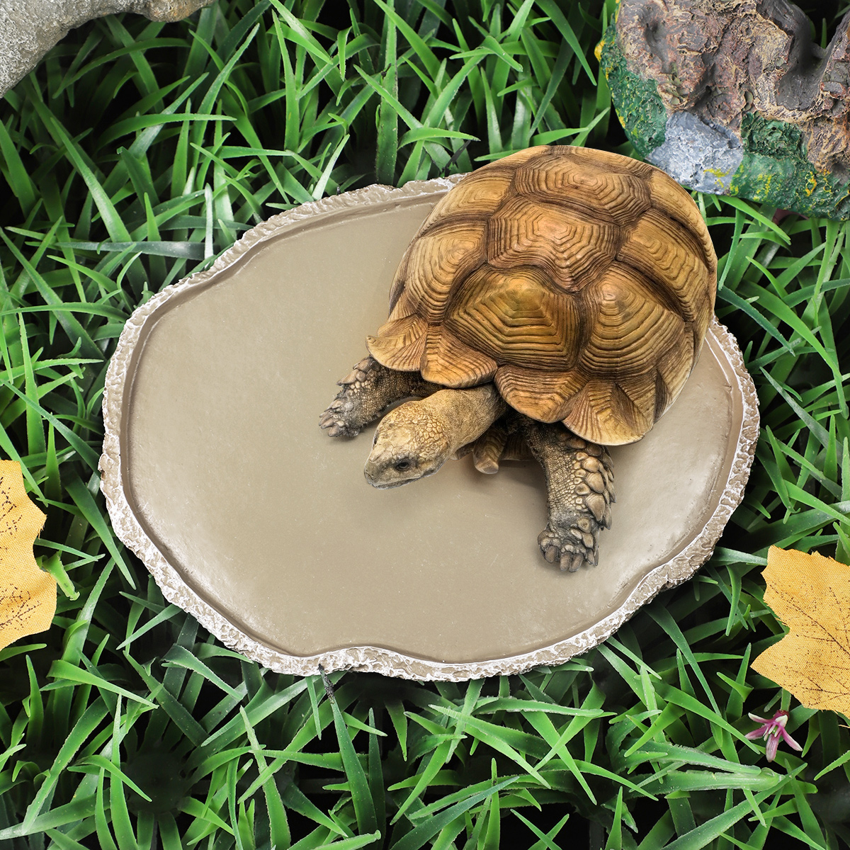 Pets Feeding Plate Reptile Fee - огляд і ціна Water Dish Reptile