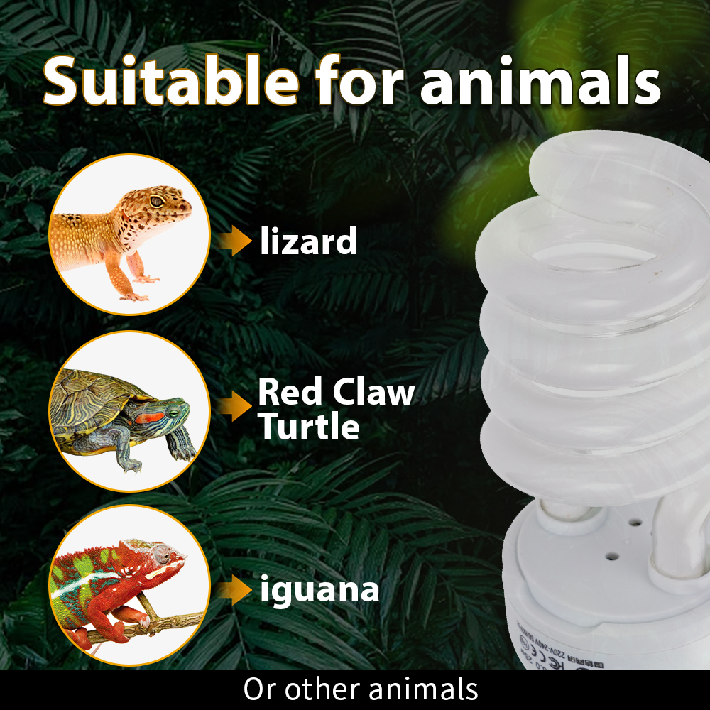 26W Pet Box Lamp Calcium Suppl - огляд і ціна Calcium Powder Reptile