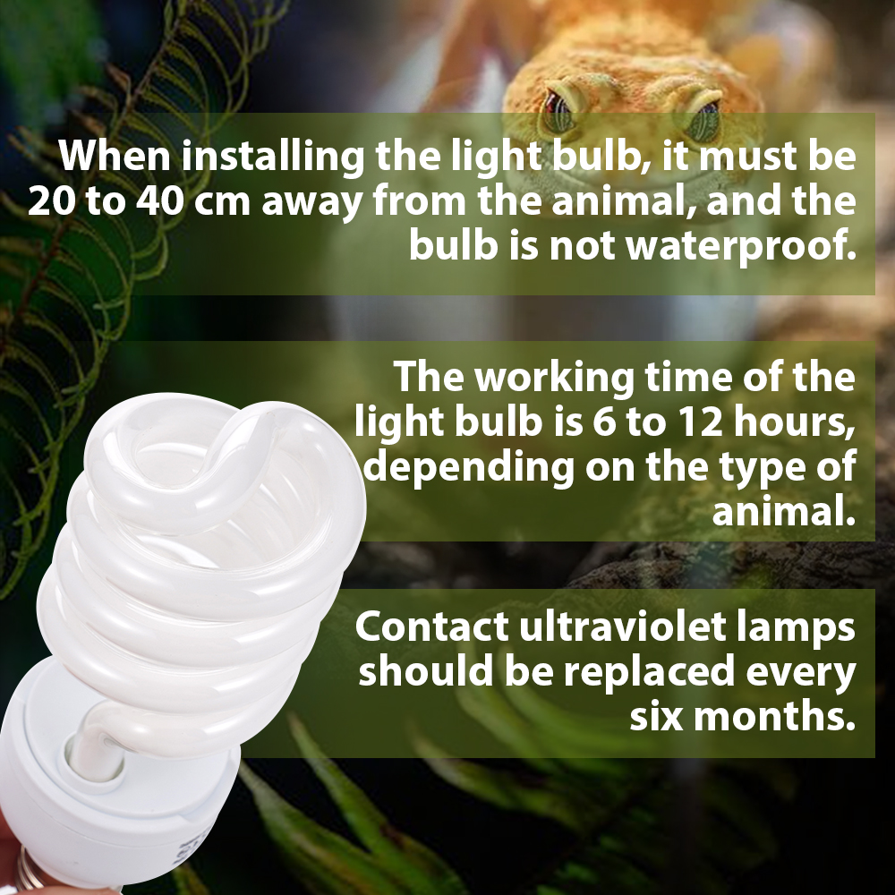 26W Pet Box Lamp Calcium Suppl - огляд і ціна Calcium Powder Reptile