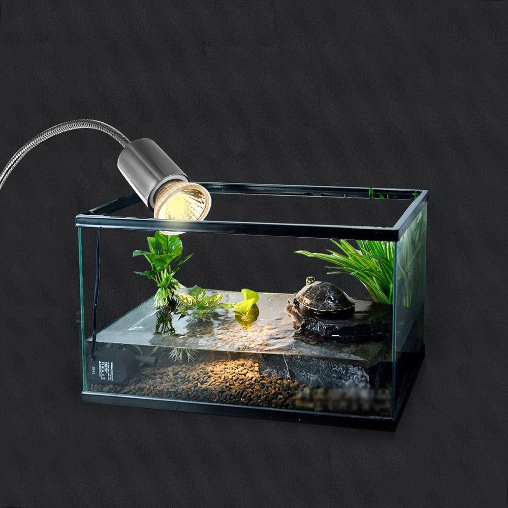 25W 50W 75W Halogen Heat Lamp  - огляд і ціна Basking Bulb Halogen