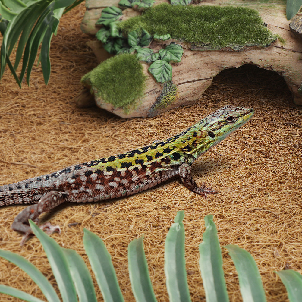 Reptile Terrarium Bedding Subs - огляд і ціна Substrate Coconut Fiber