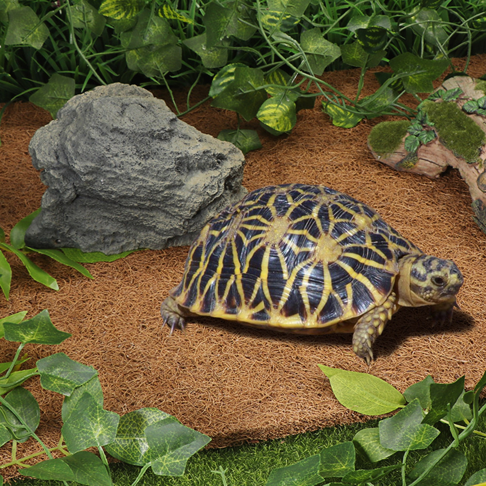 Reptile Terrarium Bedding Subs - огляд і ціна Substrate Coconut Fiber