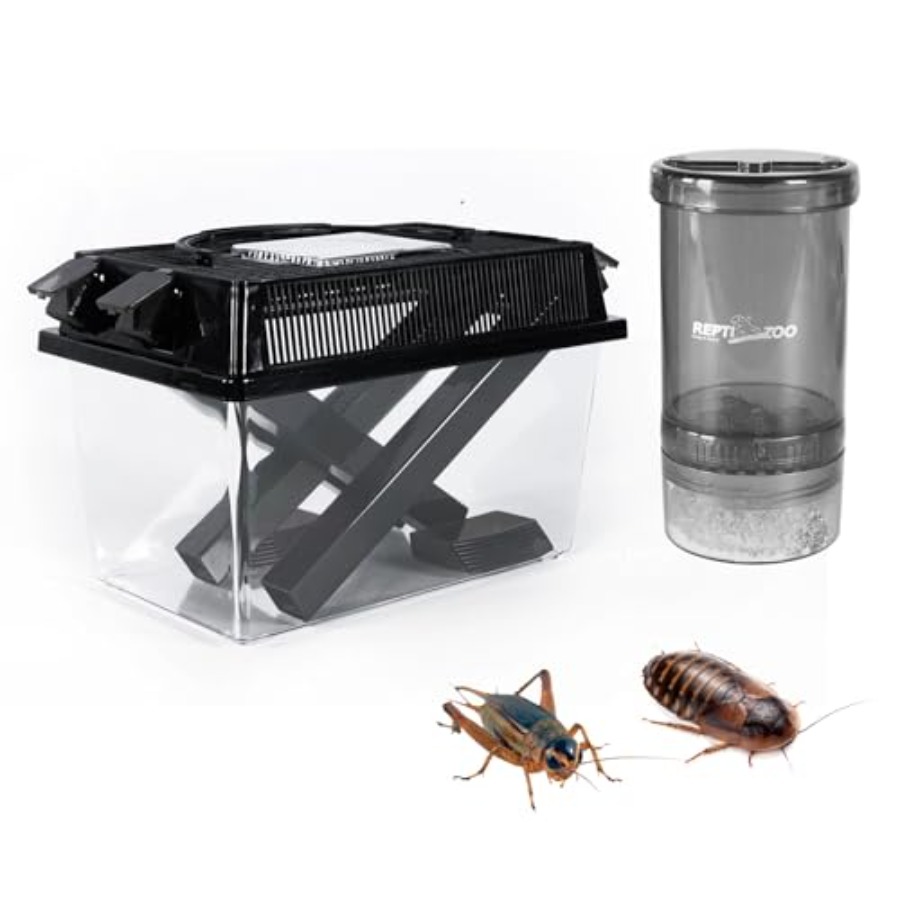 【Spot goods】Reptile Cricket Ke - огляд і ціна Calcium Powder Reptile