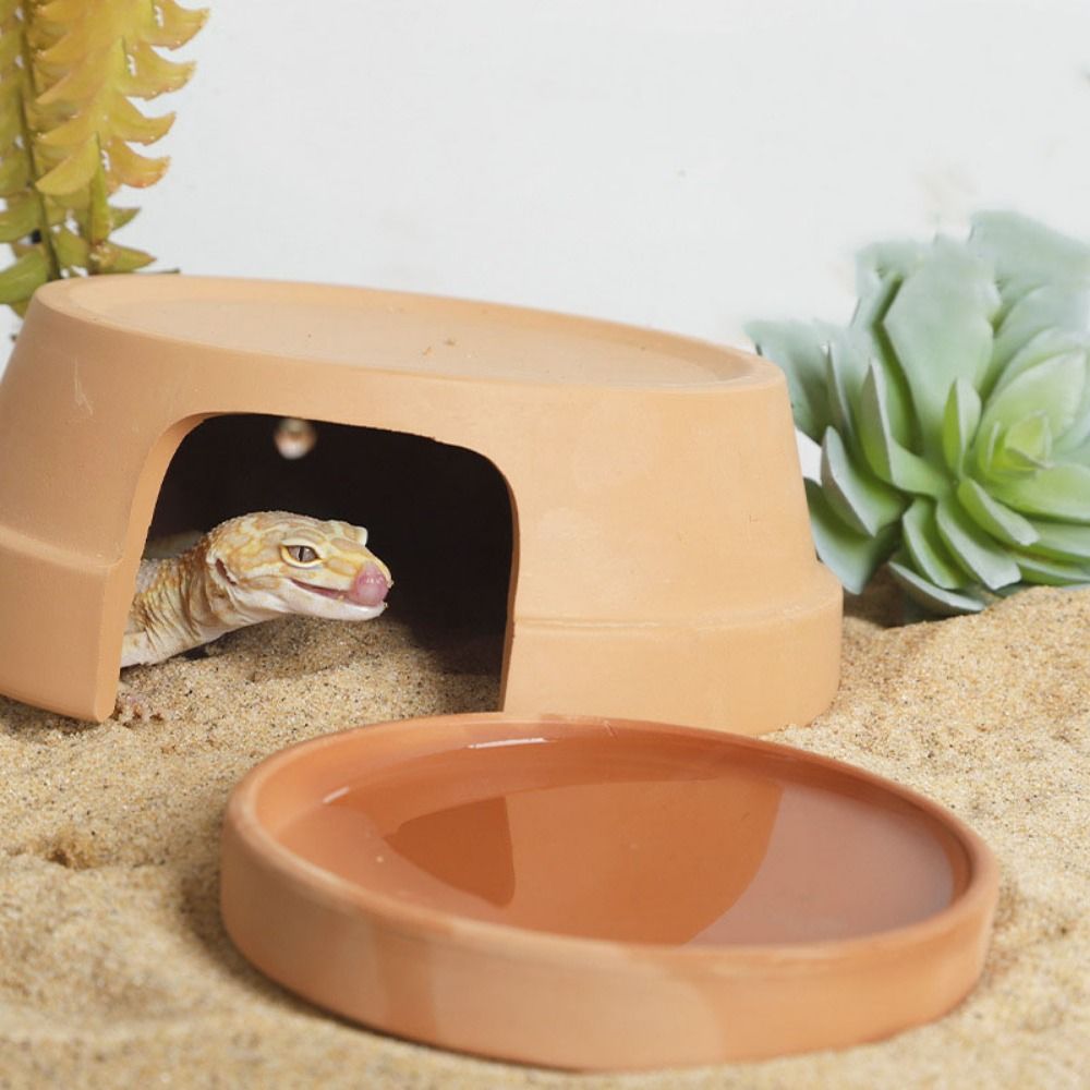 Multifunctional Ceramics Repti - огляд і ціна Hide Cave Ceramic