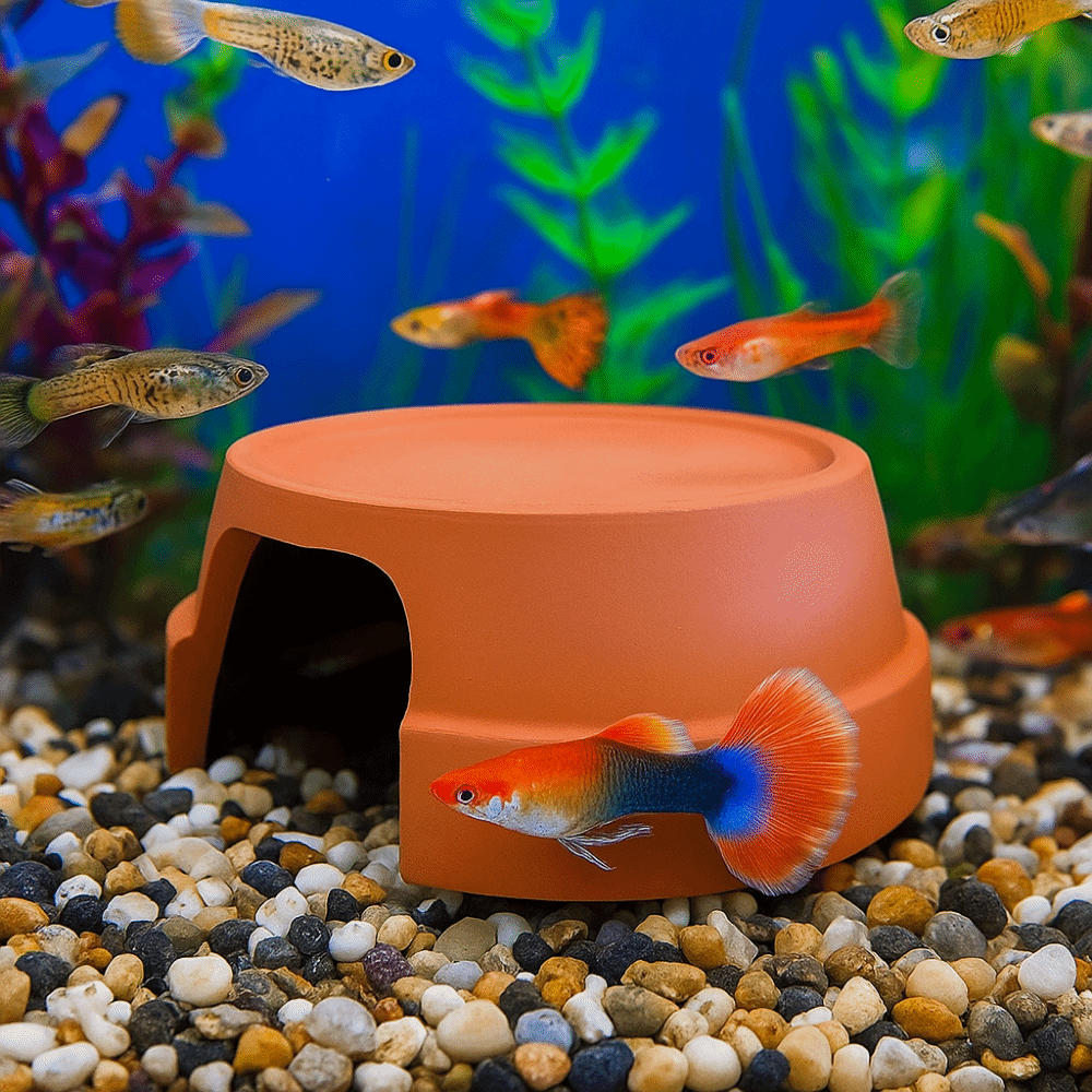 Multifunctional Ceramics Repti - огляд і ціна Hide Cave Ceramic