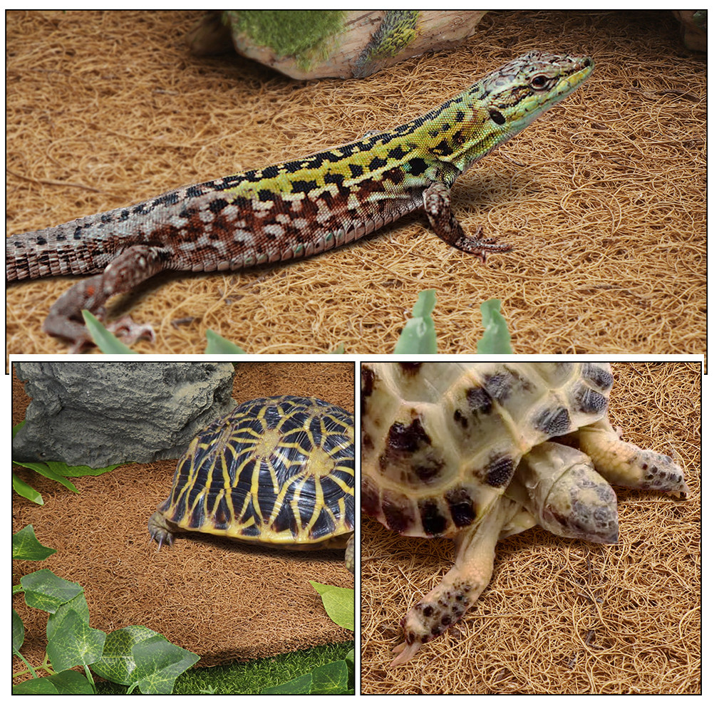 Reptile Carpet Natural Coconut - огляд і ціна Substrate Coconut Fiber