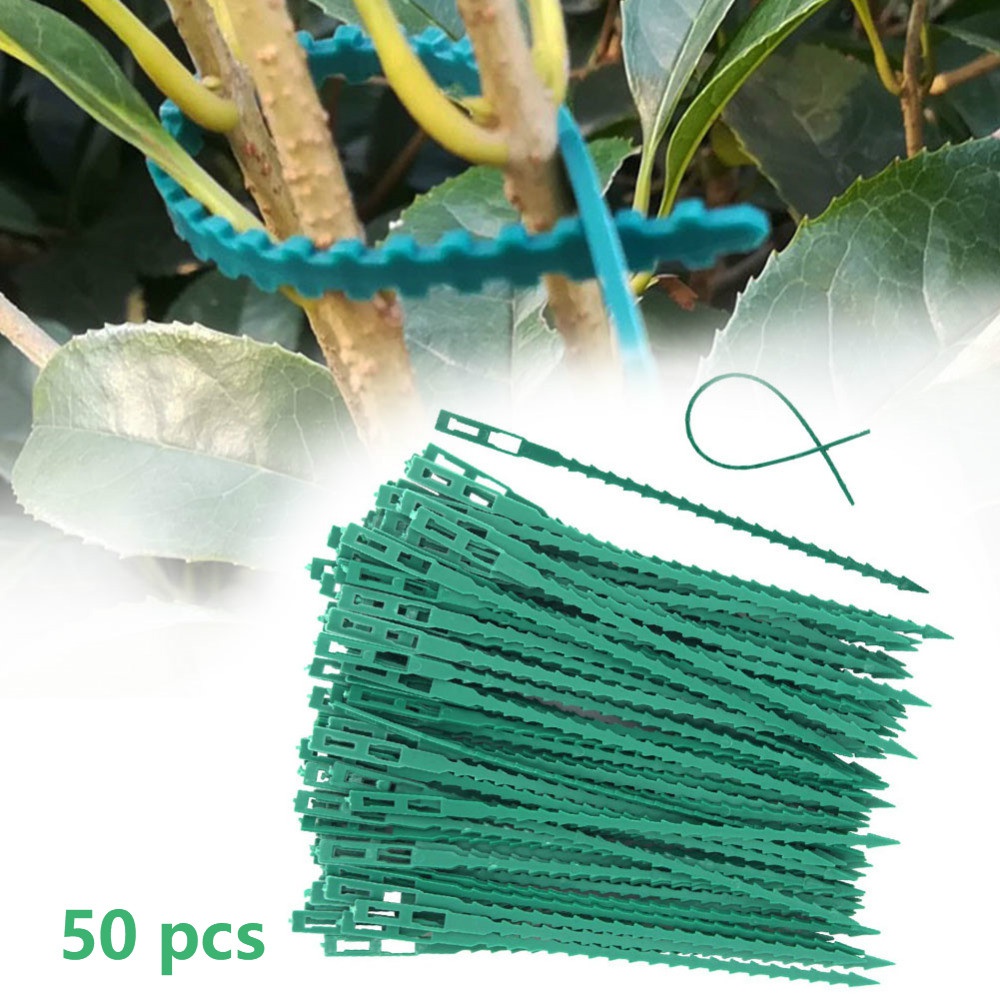 50Pcs Reusable Adjustable Plas - огляд і ціна Vine Climbing Plastic