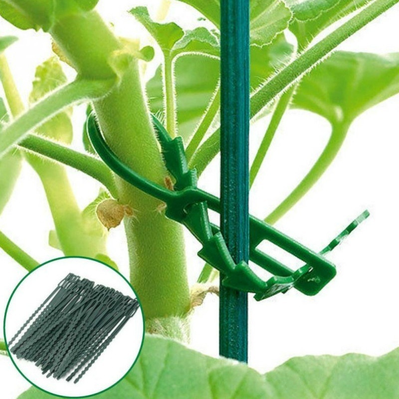 50Pcs Reusable Adjustable Plas - огляд і ціна Vine Climbing Plastic