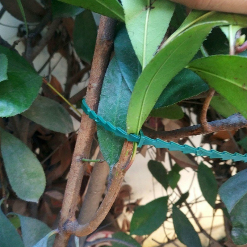 50Pcs Reusable Adjustable Plas - огляд і ціна Vine Climbing Plastic
