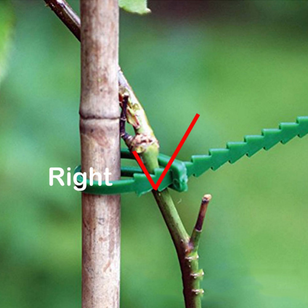 50Pcs Reusable Adjustable Plas - огляд і ціна Vine Climbing Plastic