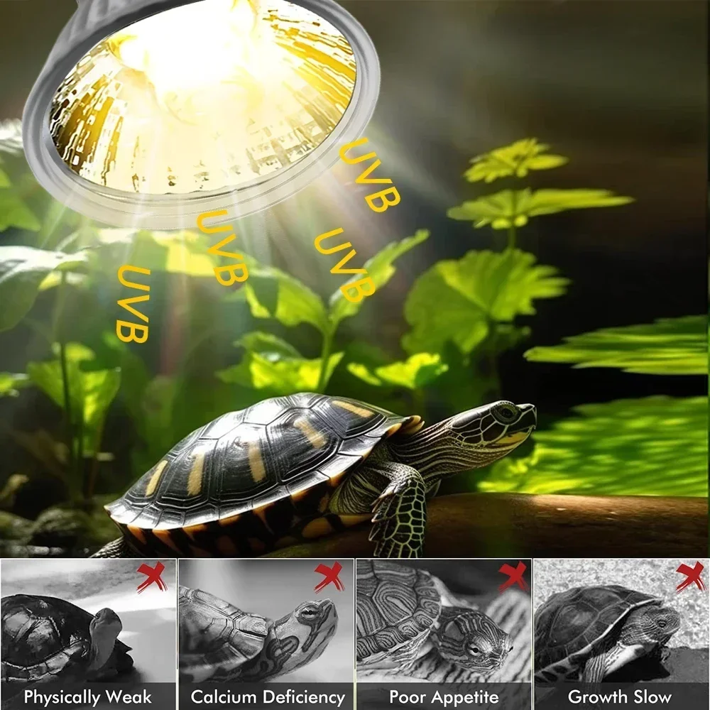 75/50/25W Tortoise Lizard Bask - огляд і ціна Calcium Powder Reptile