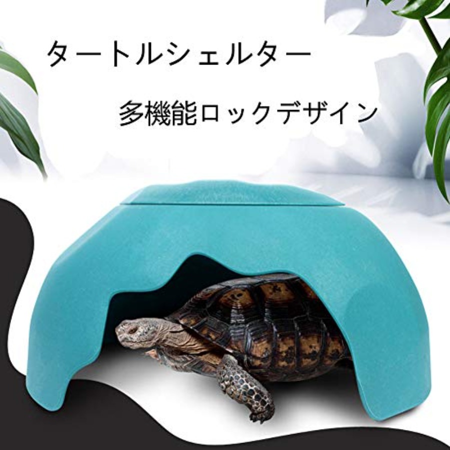 【Spot goods】Reptiles House wit - огляд і ціна Hide Cave Ceramic