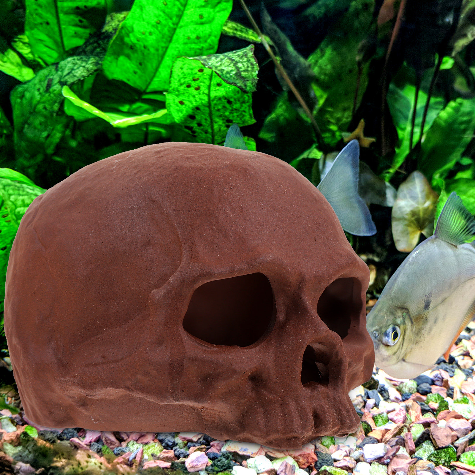 Ceramic Fish Cave Shrimp Hide  - огляд і ціна Hide Cave Ceramic