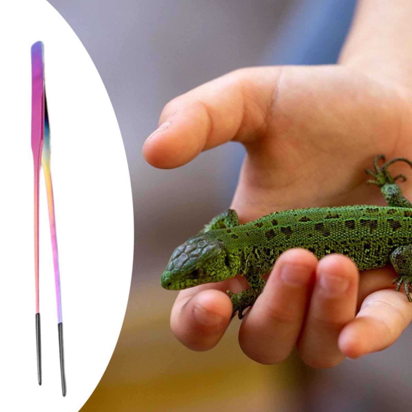 Reptile Feeder Tongs Soft Sili - огляд і ціна Feeding Tong Stainless