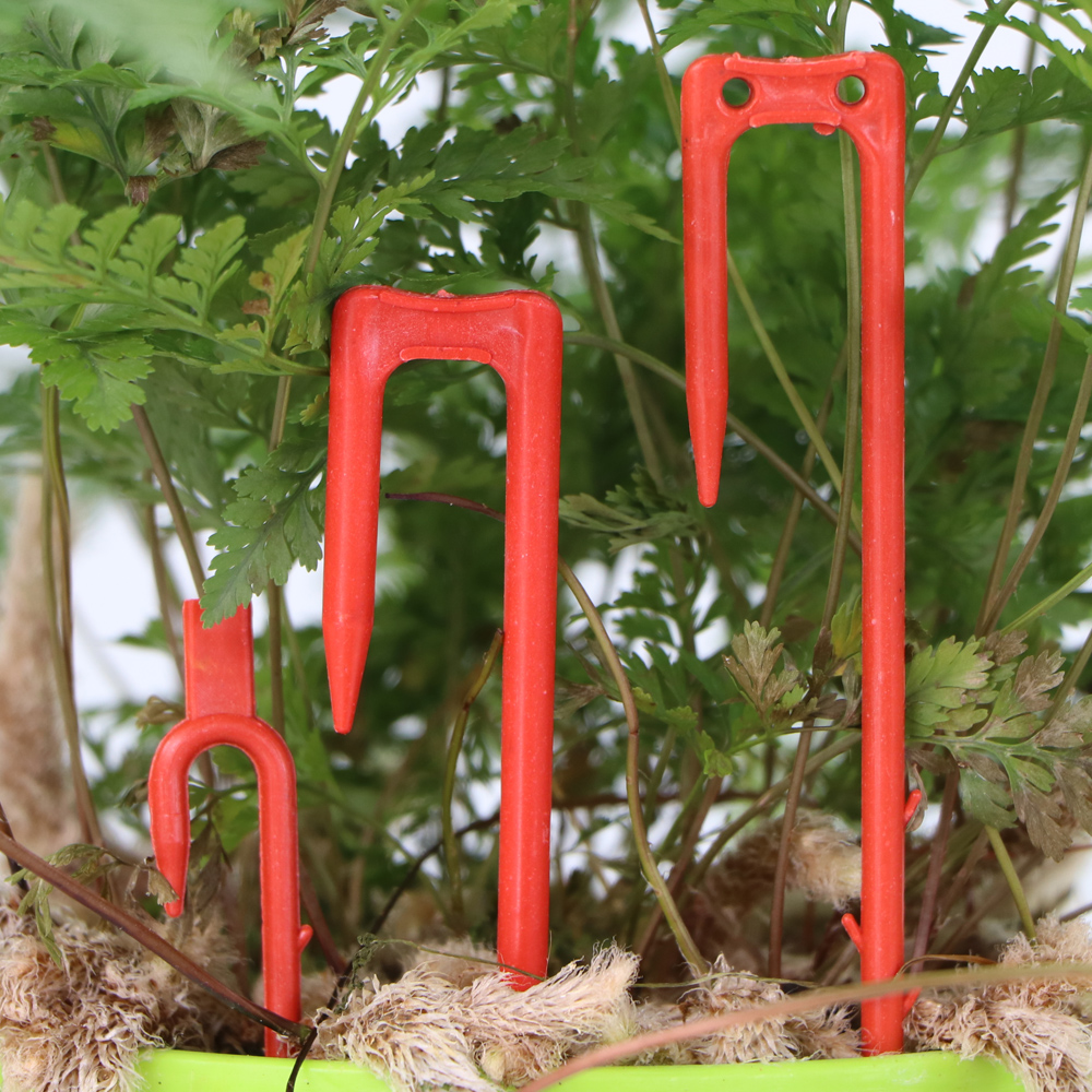 20-50PCS Strawberry Planting F - огляд і ціна Vine Climbing Plastic