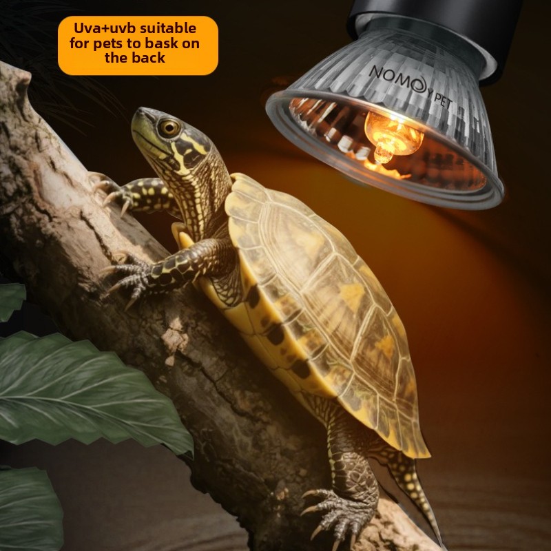 NOMOY 25/50/75w UVB 3.0 Reptil - огляд і ціна Vitamin D3 Reptile