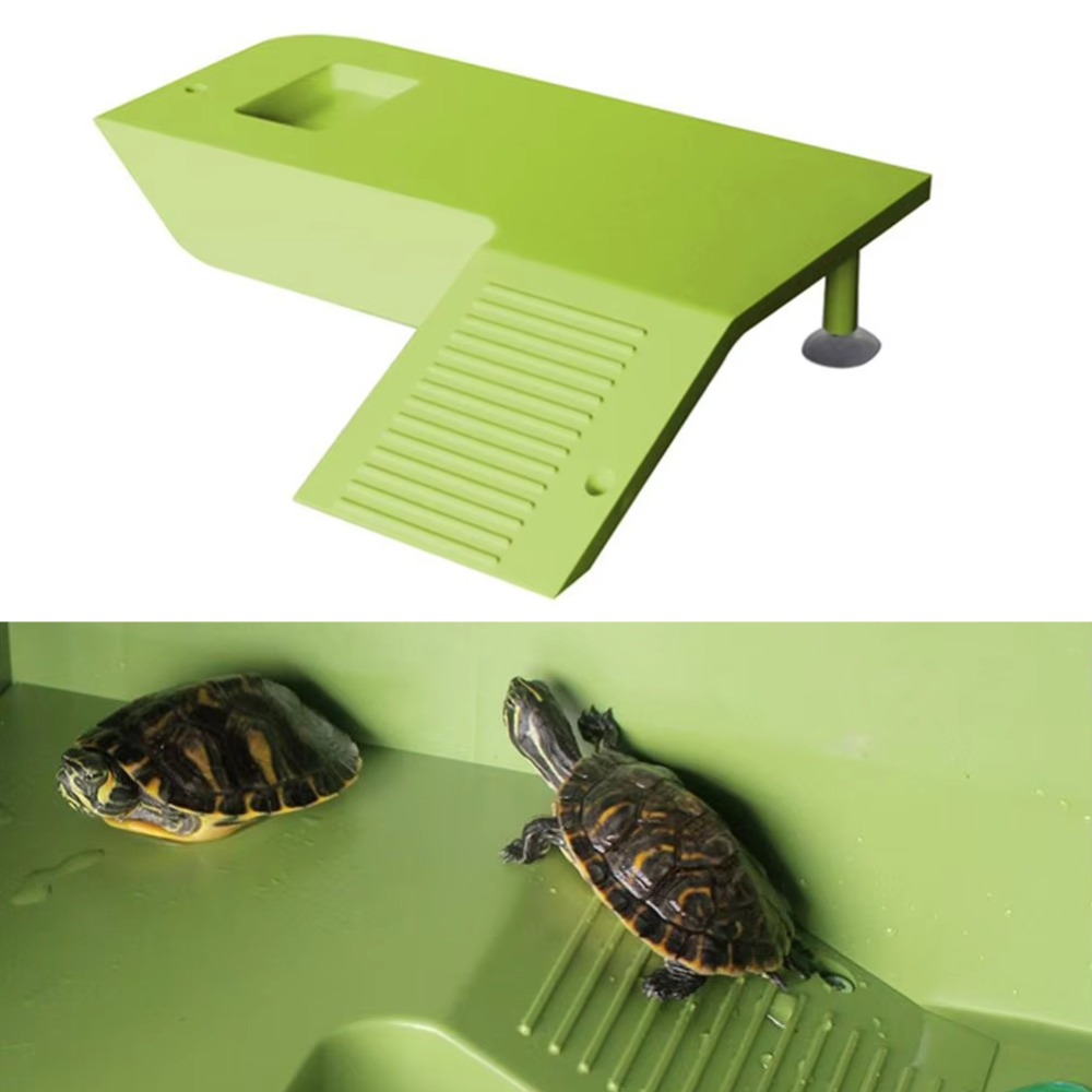 Water Land Slope Box Feeding C - огляд і ціна Water Dish Reptile