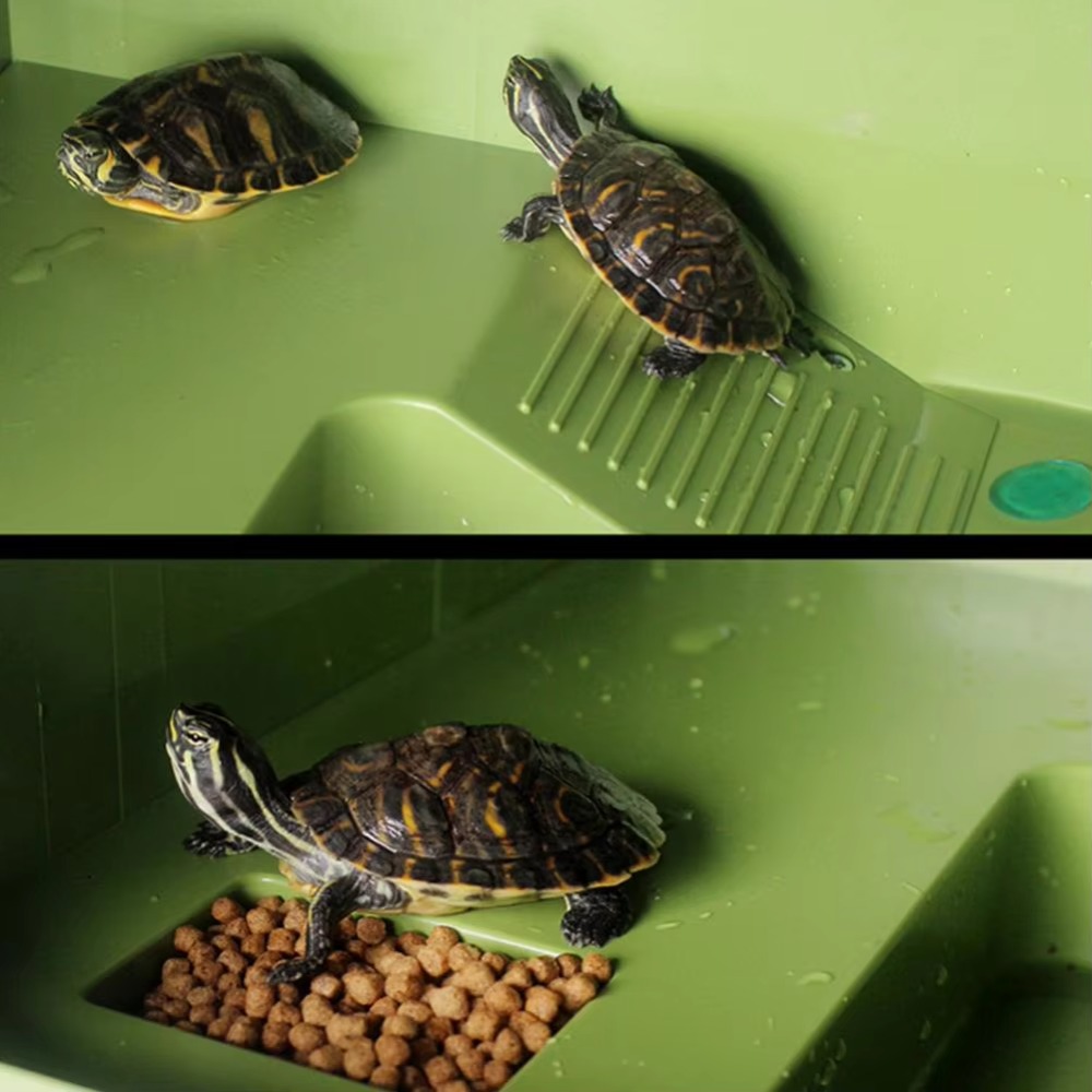 Water Land Slope Box Feeding C - огляд і ціна Water Dish Reptile