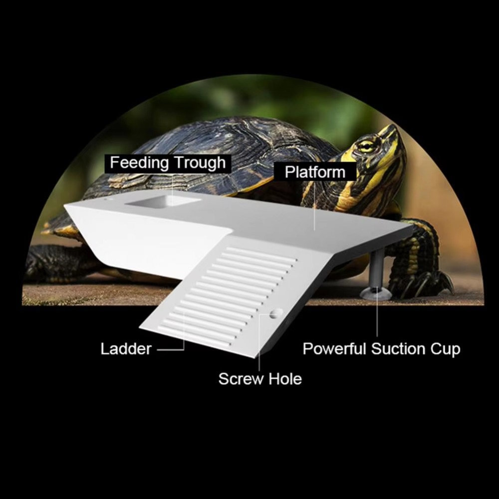 Water Land Slope Box Feeding C - огляд і ціна Water Dish Reptile