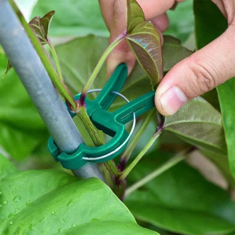 50 Reusable Plant Fixed Clips, - огляд і ціна Vine Climbing Plastic