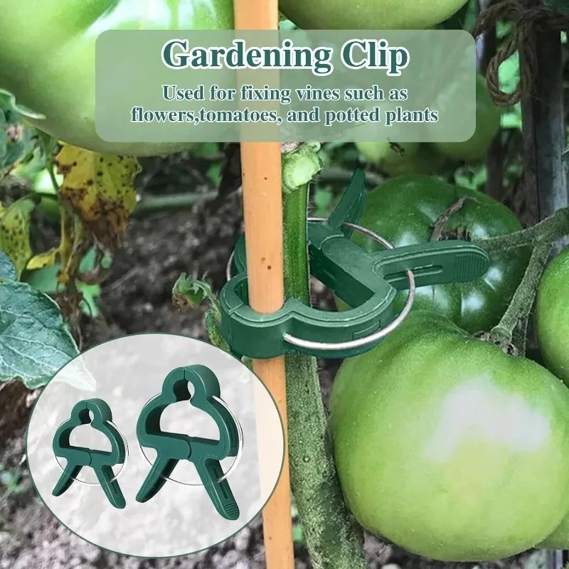 50 Reusable Plant Fixed Clips, - огляд і ціна Vine Climbing Plastic
