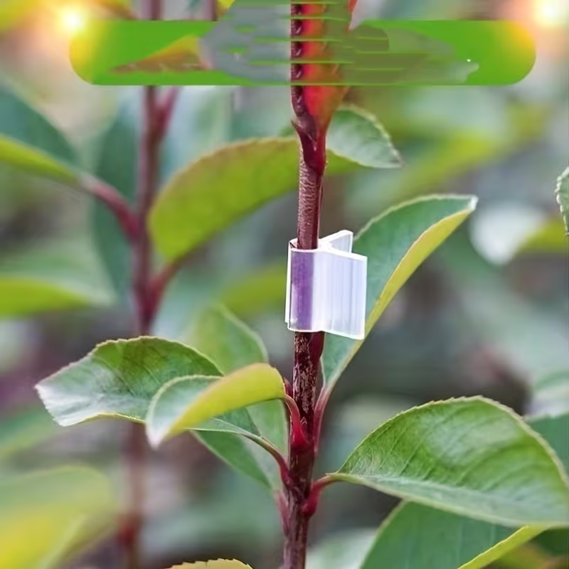 50pcs Agriculture Grafting Cli - огляд і ціна Vine Climbing Plastic