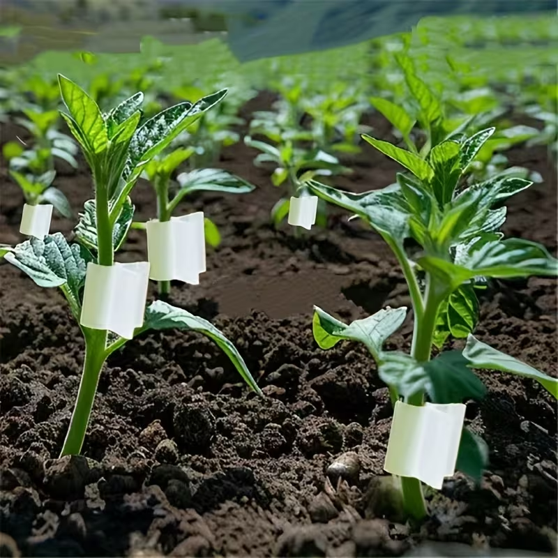 50pcs Agriculture Grafting Cli - огляд і ціна Vine Climbing Plastic