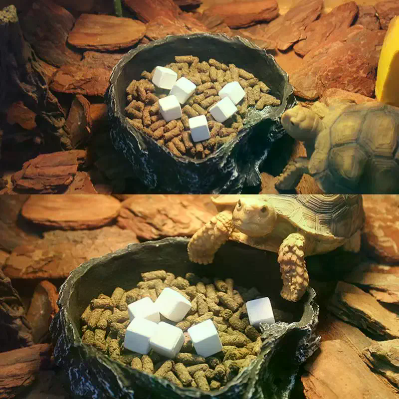 Slow Release Calcium Mineral B - огляд і ціна Calcium Powder Reptile