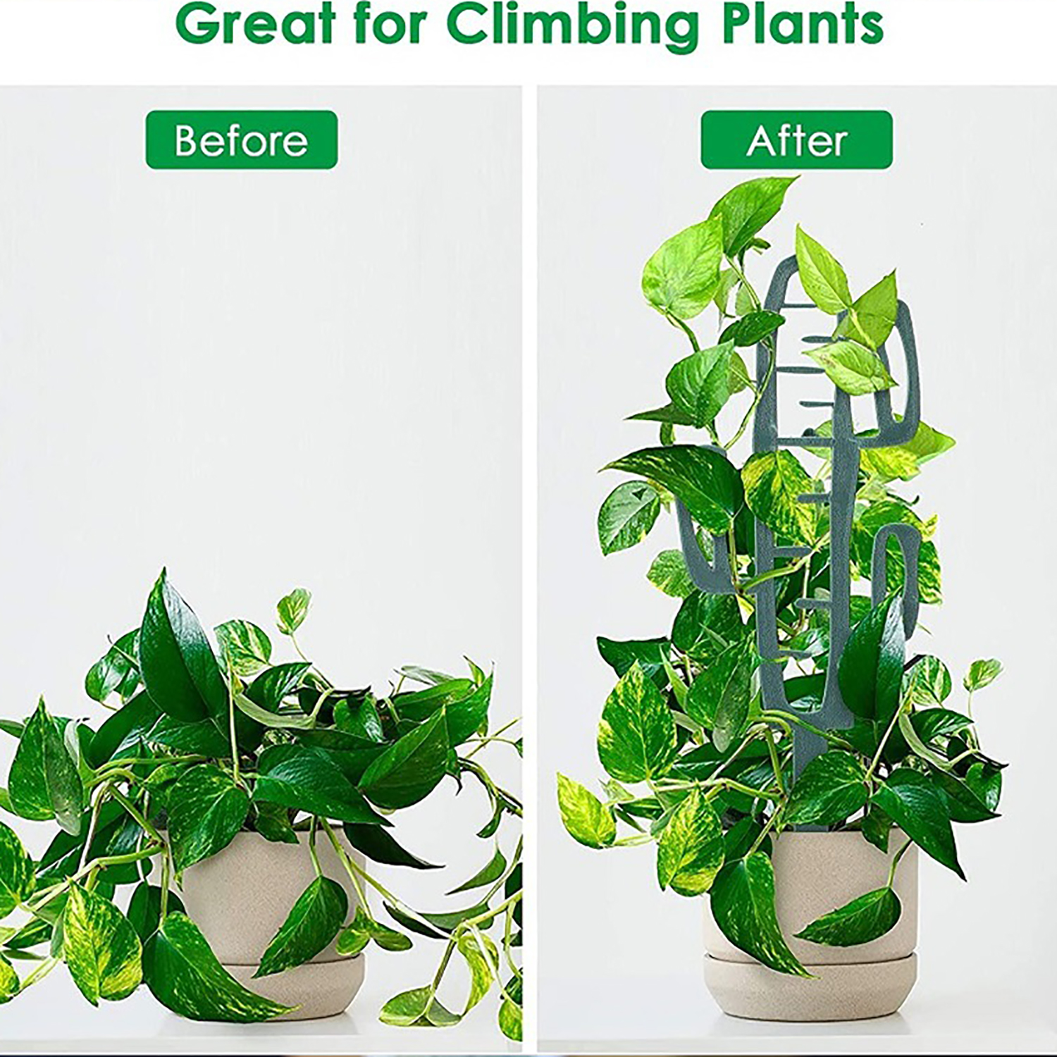 Plant Climbing Support Stand F - огляд і ціна Vine Climbing Plastic