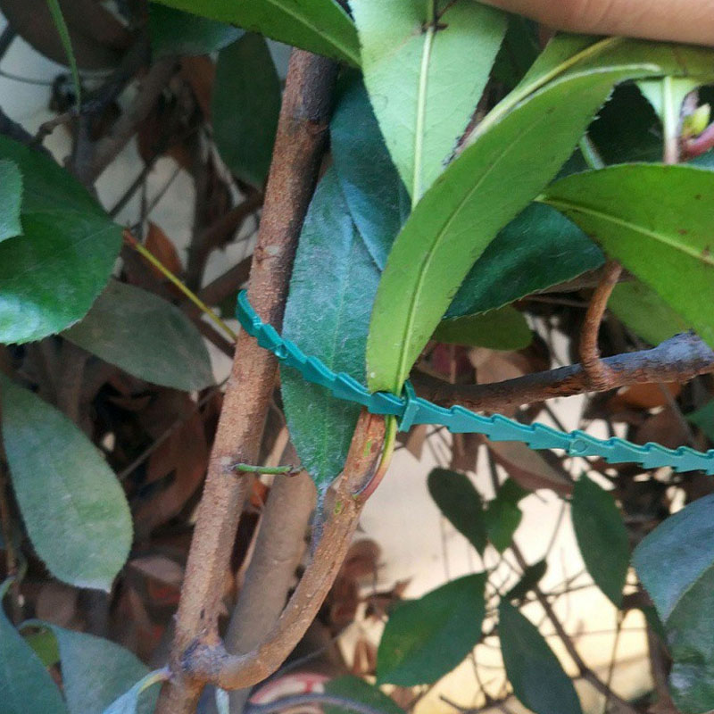13cm Adjustable Plastic Plant  - огляд і ціна Vine Climbing Plastic