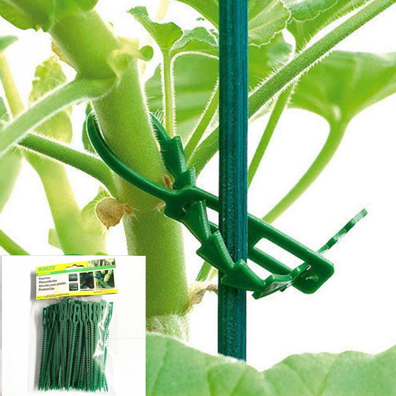 13cm Adjustable Plastic Plant  - огляд і ціна Vine Climbing Plastic