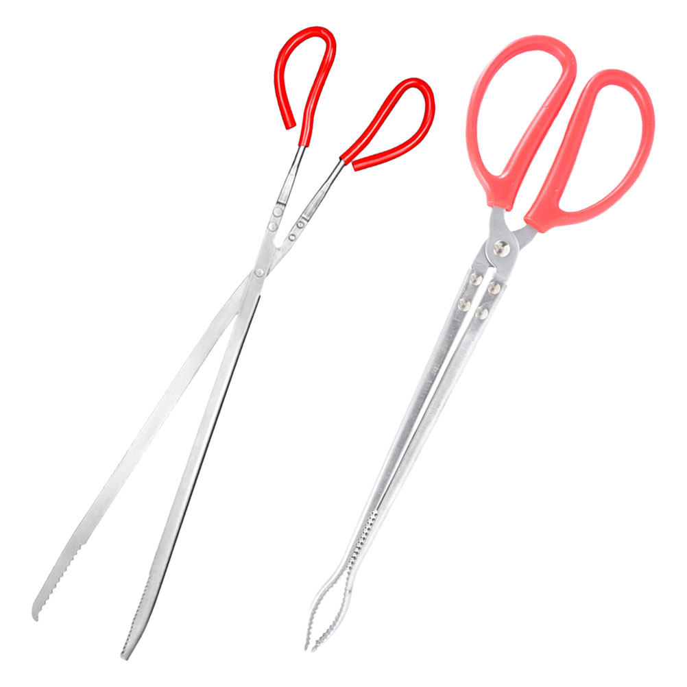 2Pcs Stainless Steel Snake Ton - огляд і ціна Feeding Tong Stainless