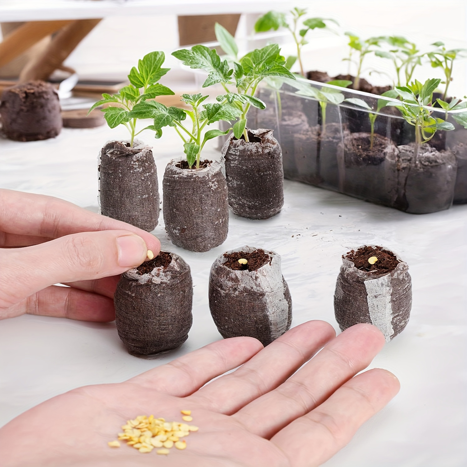 10/20/50pcs Plant Growth Bags  - огляд і ціна Substrate Coconut Fiber